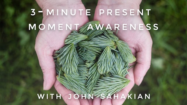 3-Minute Present Moment Awareness: Jo...