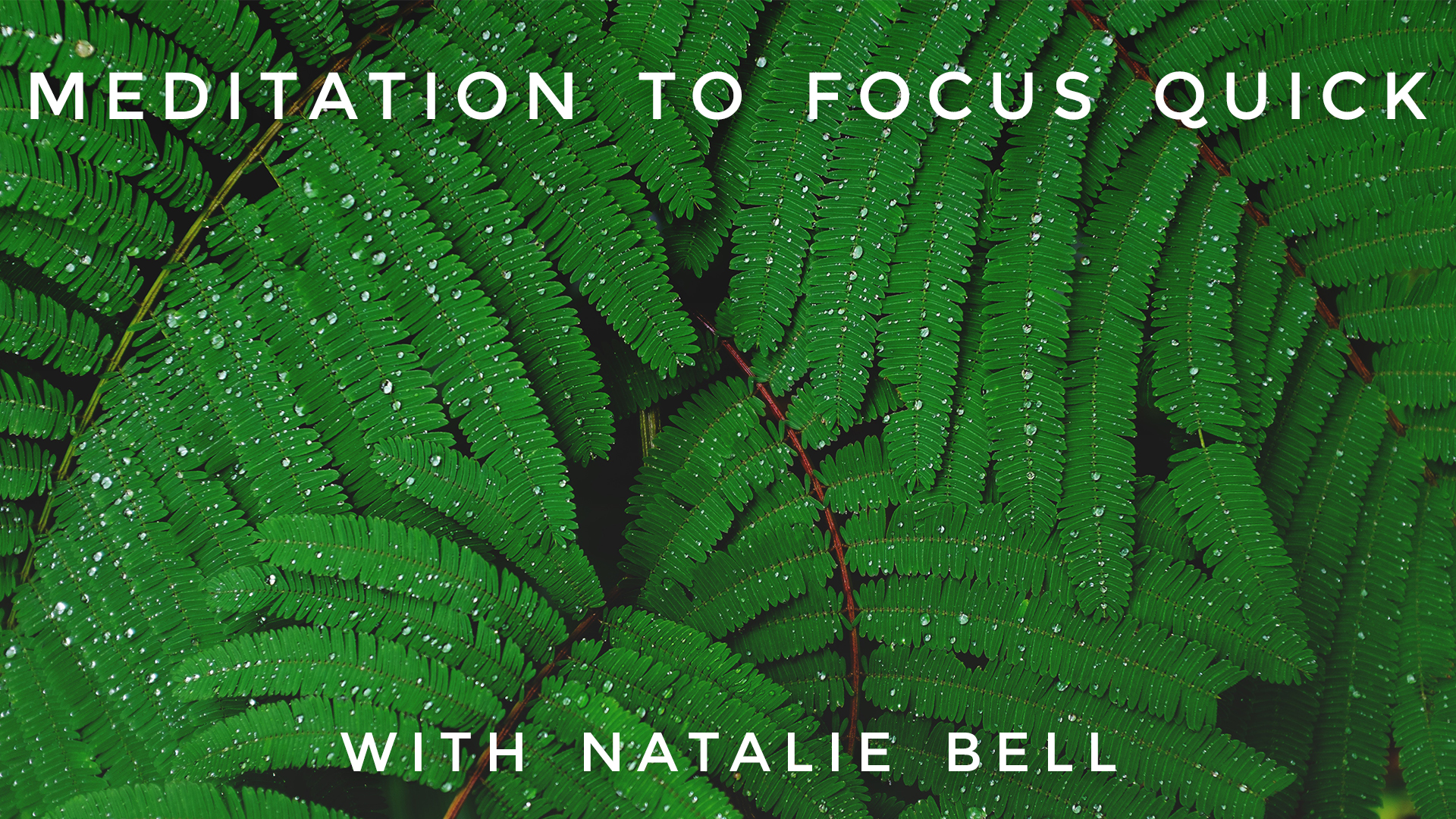 Meditation to Focus Quick: Natalie Bell