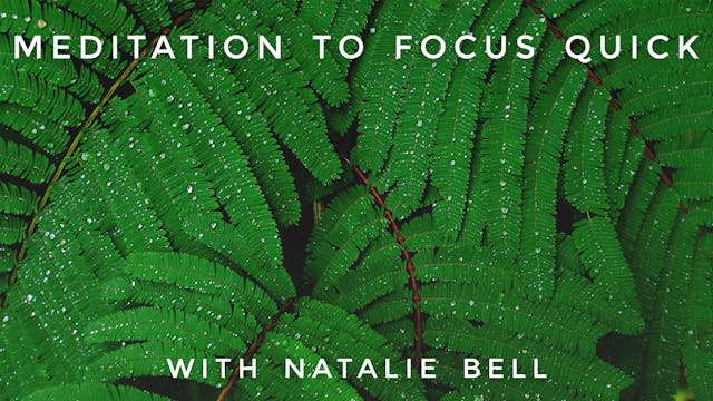 Meditation to Focus Quick: Natalie Bell
