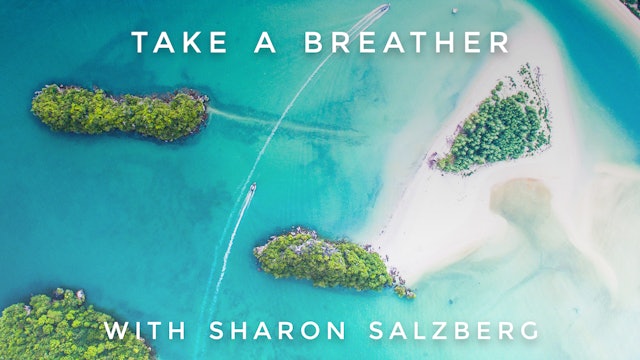 Take a Breather:  Sharon Salzberg