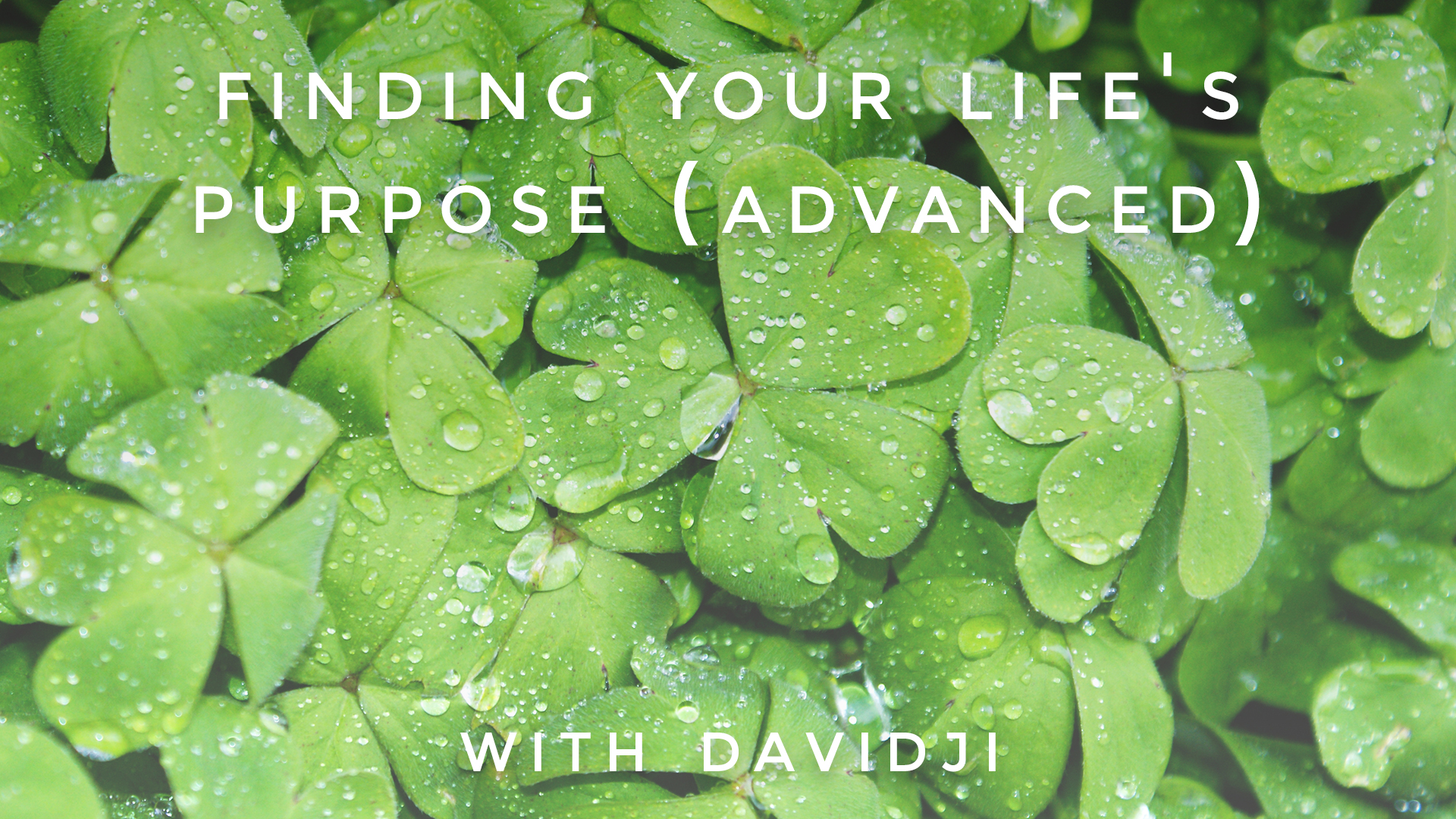 Finding Your Life's Purpose Advanced: davidji