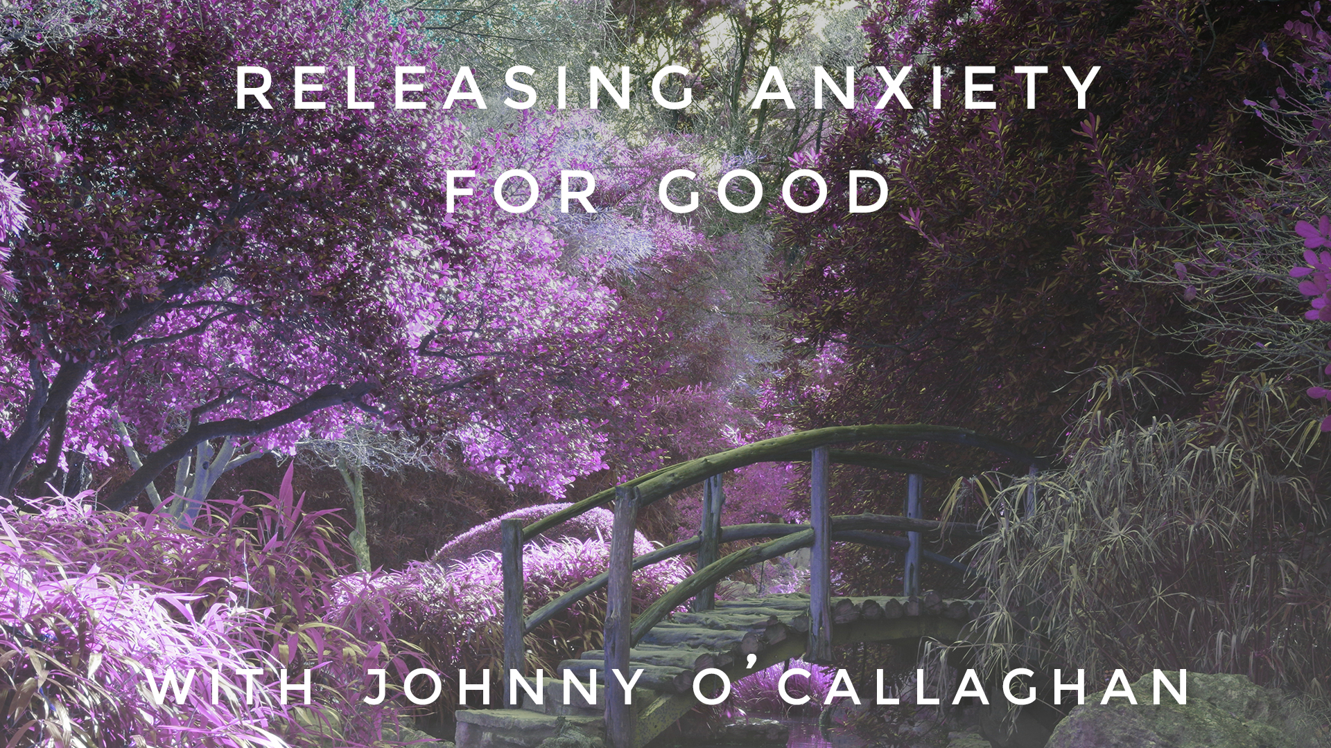 Releasing Anxiety For Good: Johnny O'Callaghan
