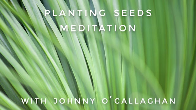 Planting Seeds Meditation: Johnny O'C...