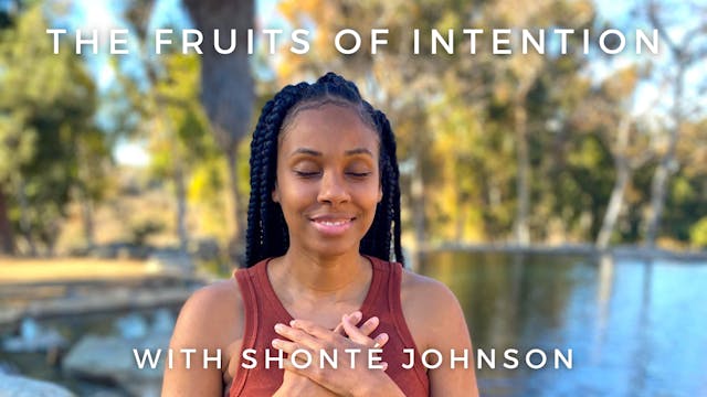 The Fruits of Intention: Shonté Johnson