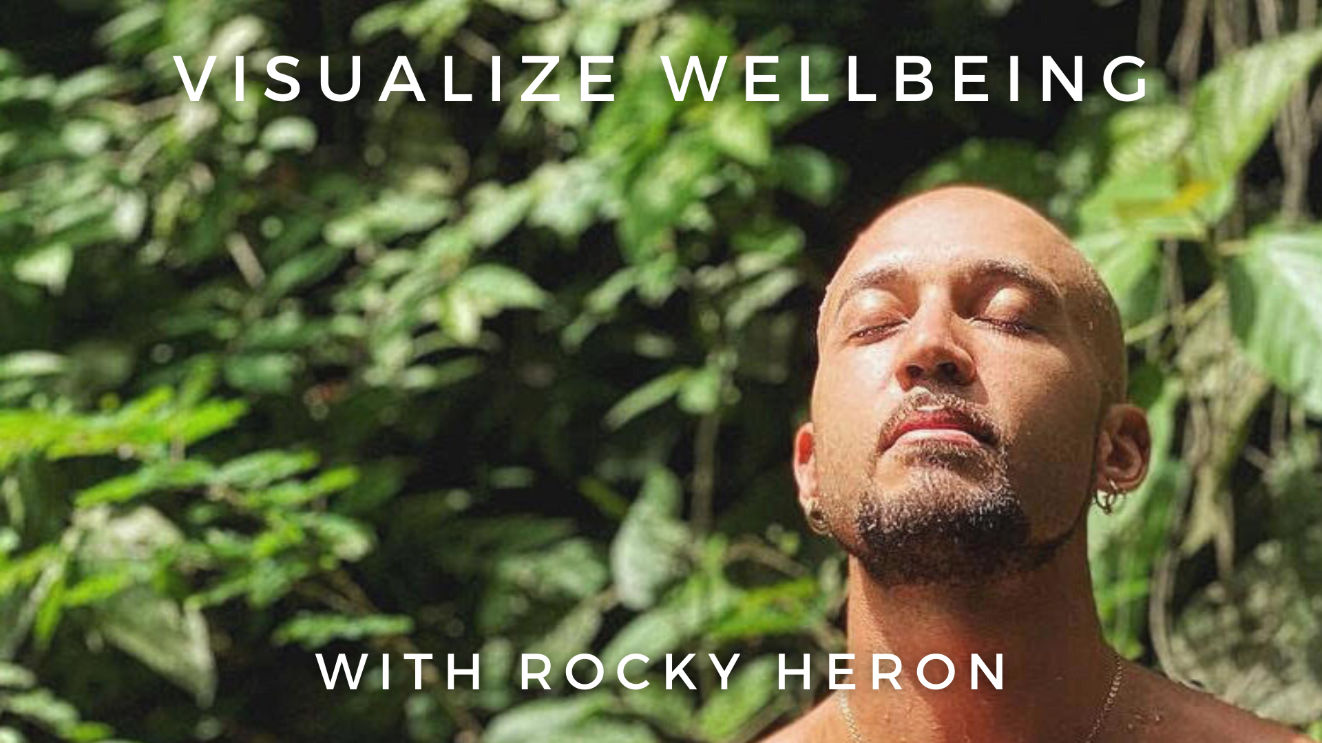 Visualize Wellbeing: Rocky Heron
