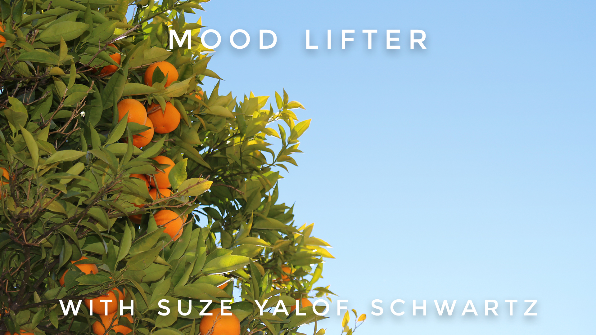 Mood Lifter: Suze Yalof Schwartz