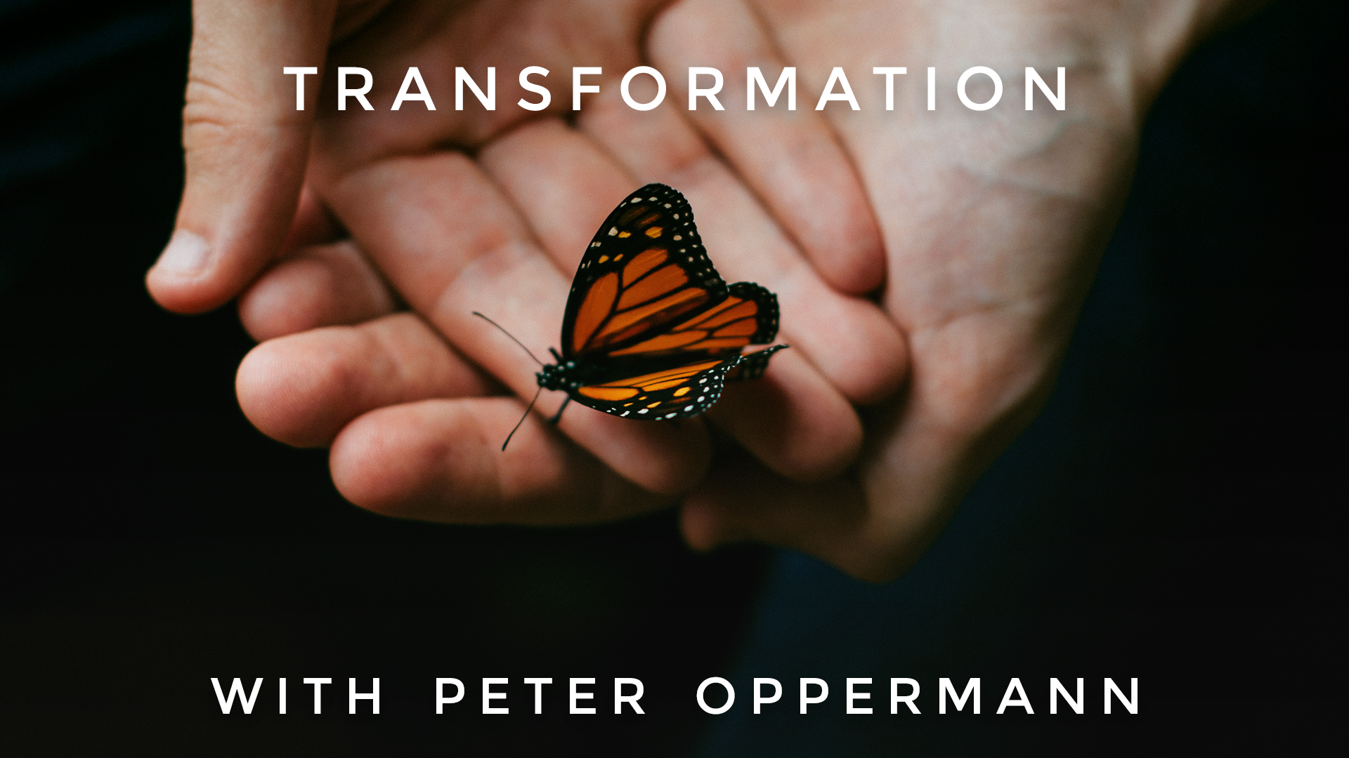 Transformation: Peter Oppermann