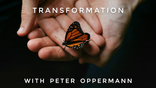 Transformation: Peter Oppermann