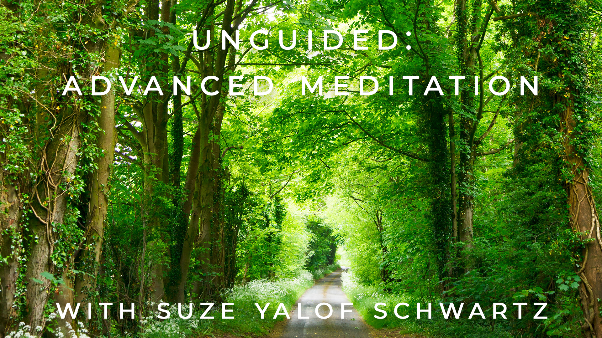 Unguided: Advanced Meditation: Suze Yalof Schwartz