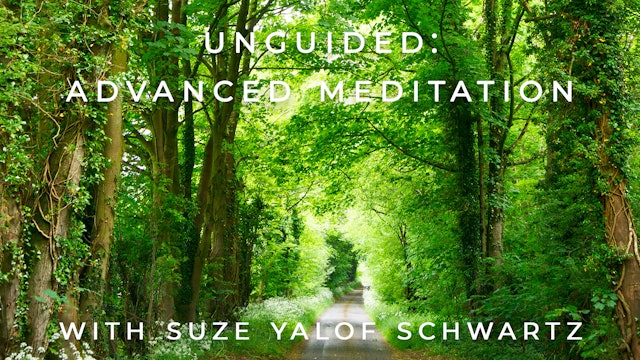 Unguided: Advanced Meditation: Suze Yalof Schwartz