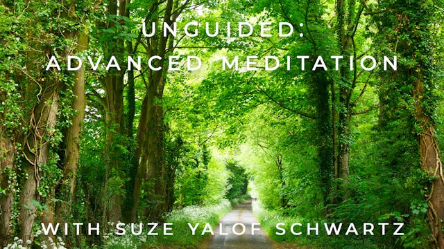Unguided: Advanced Meditation: Suze Y...
