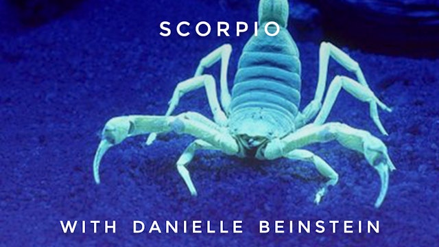 Scorpio: Danielle Beinstein