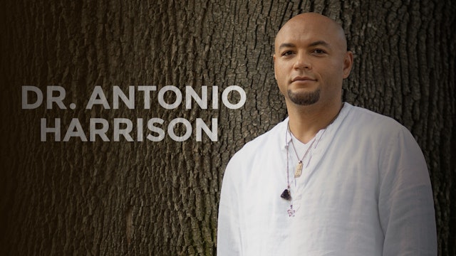 Dr. Antonio Harrison