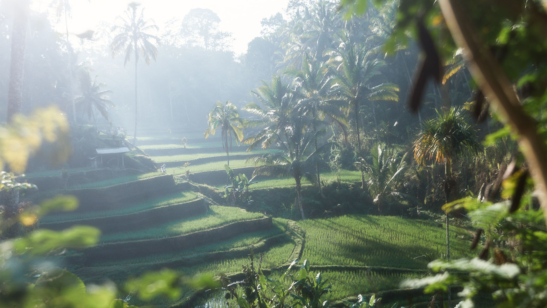 Morning Meditation | Spiritual Empowerment