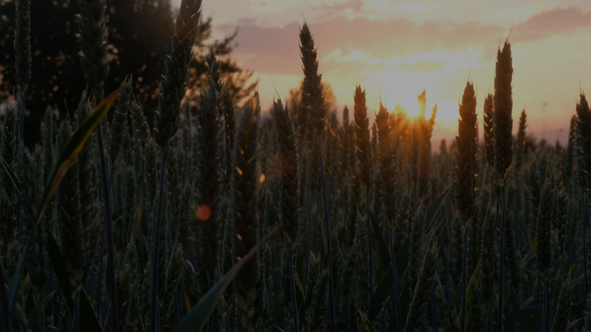 Sleep Story | Give Up Judgement