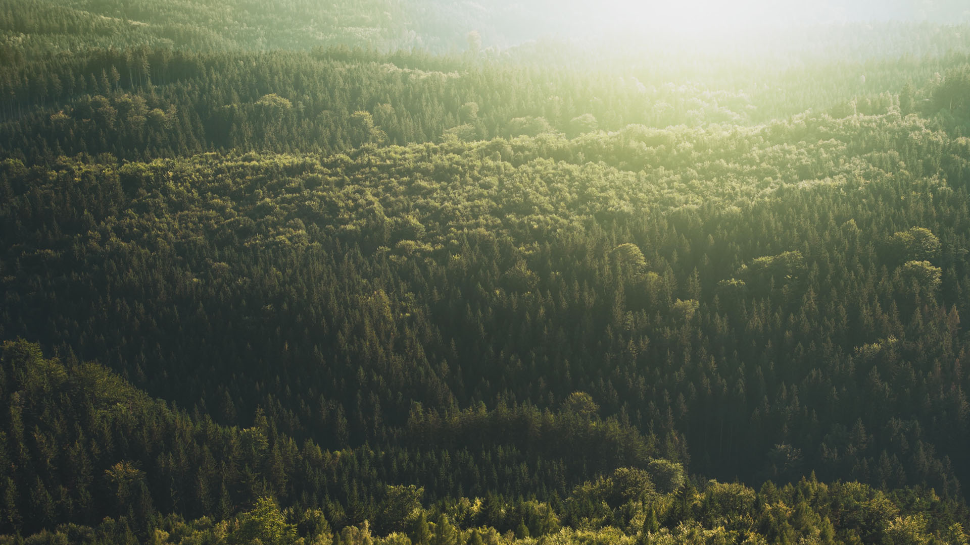 Everything Will Be Okay