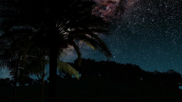 Sleep Story | Find Focus