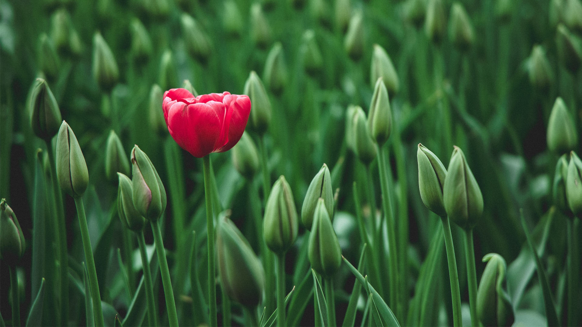 Handling Heart Break