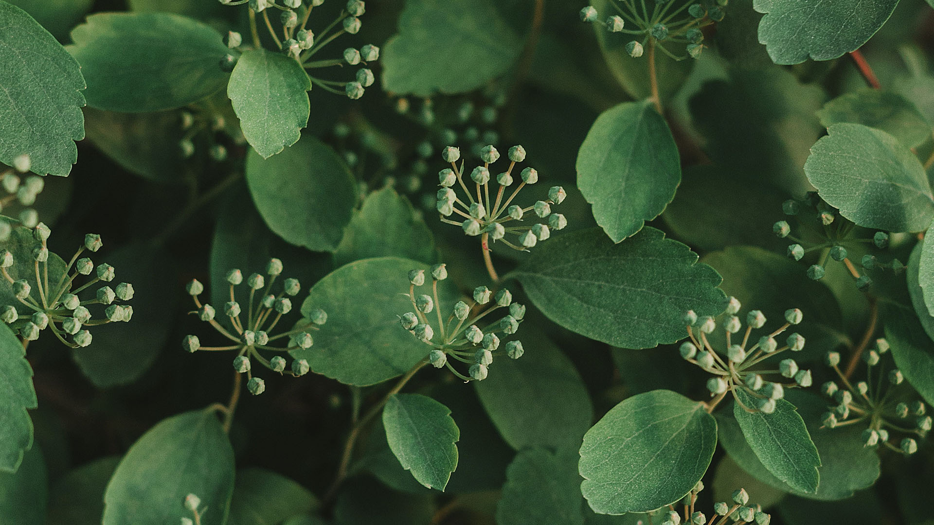 Gratitude = Abundance