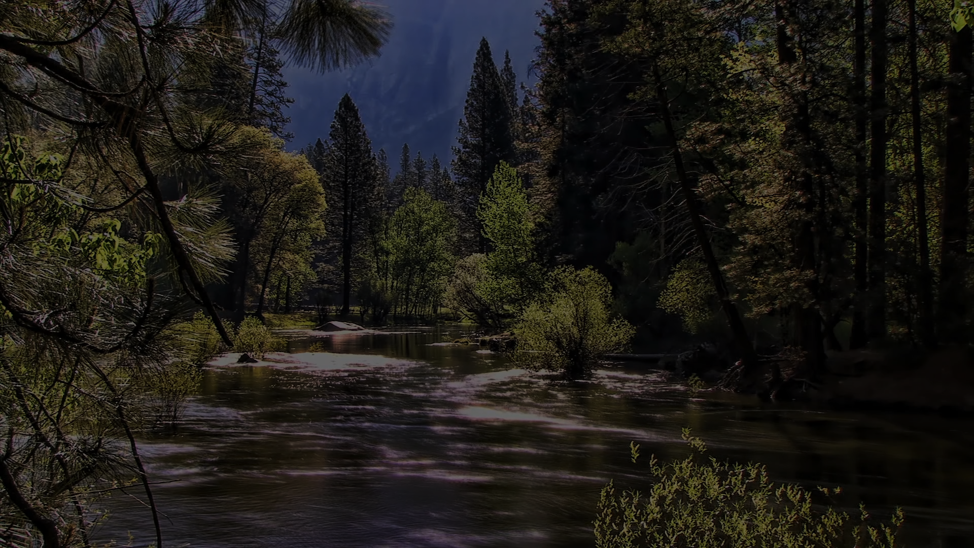 Soundscape | National Park 