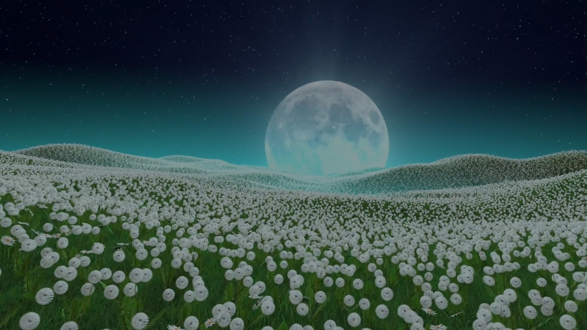 Sleep Story | Slow Down & Enjoy Life