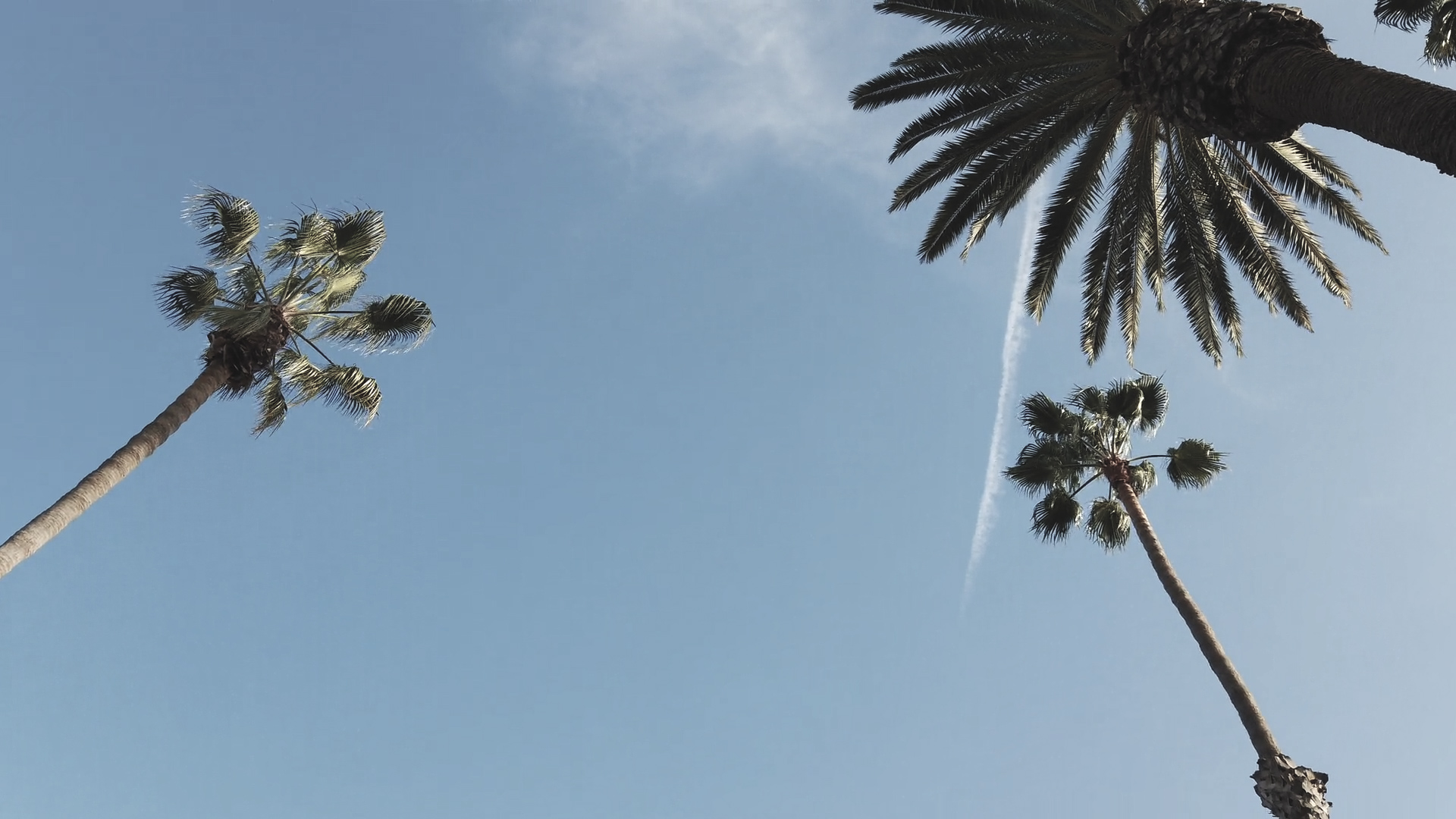 Meditation | Stress Relief