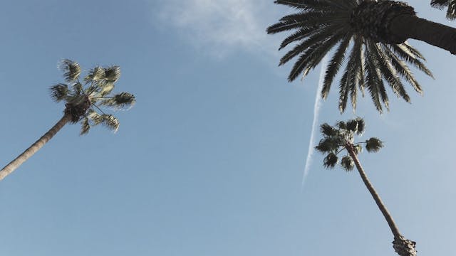 Meditation | Stress Relief