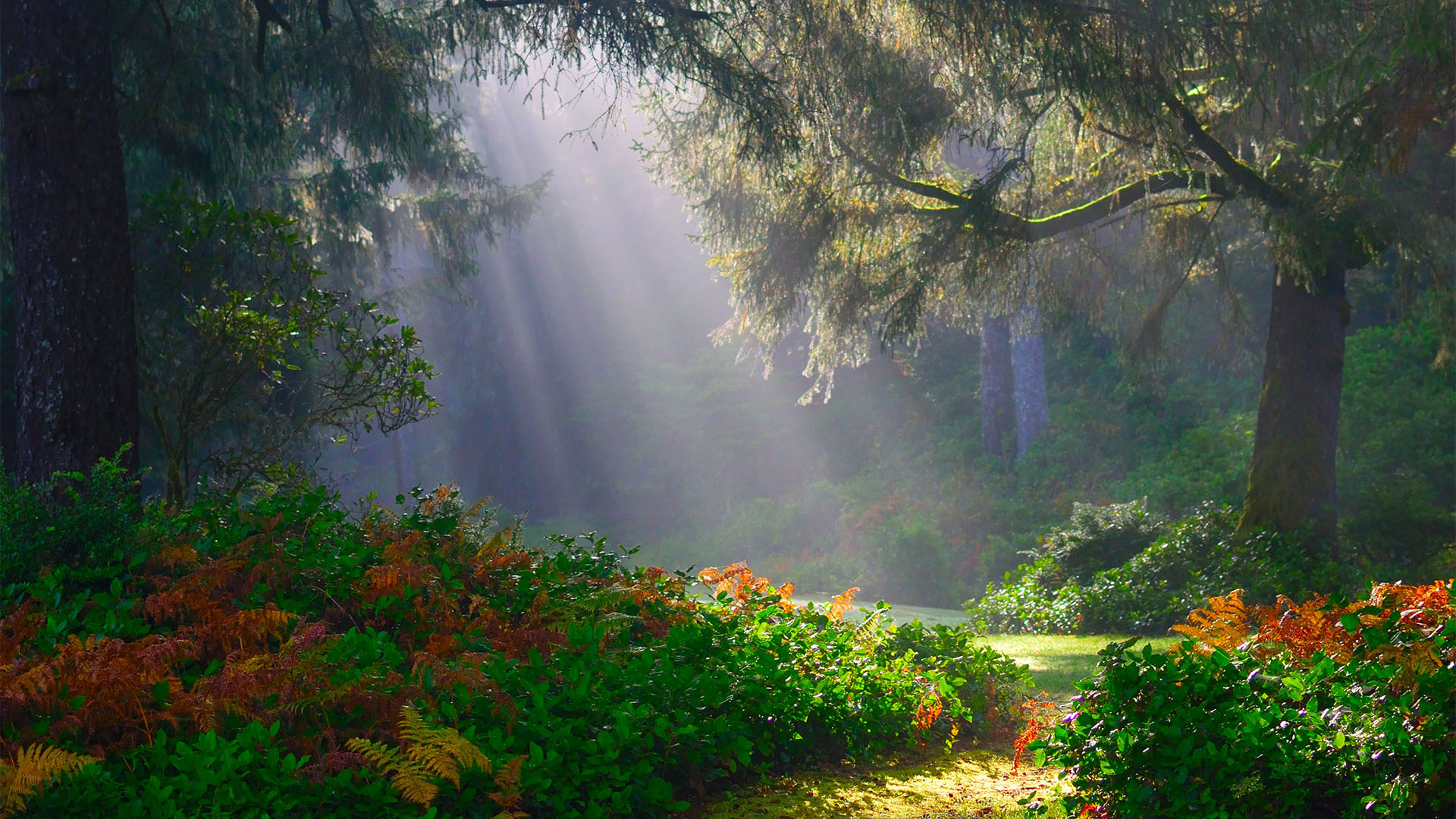 Mantra Meditation For Presence