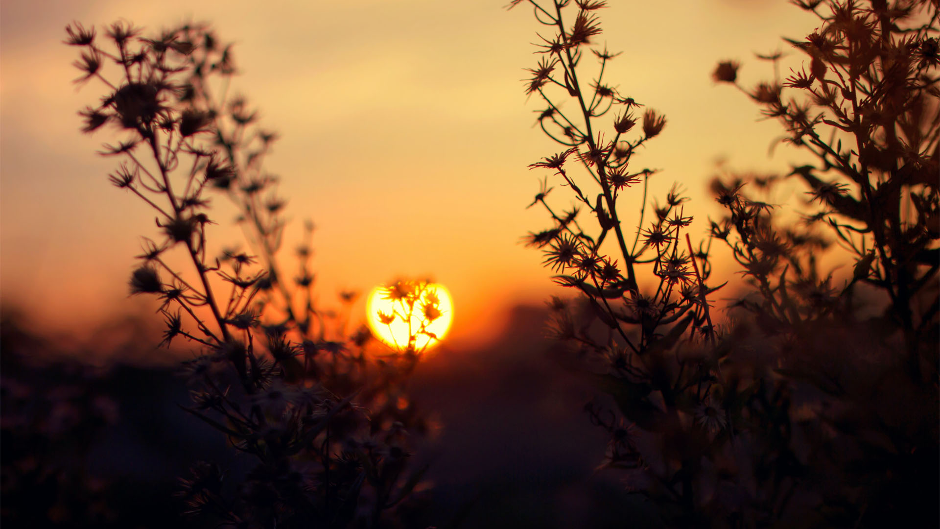 Morning Meditation | Self Empowerment