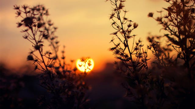 Morning Meditation | Self Empowerment