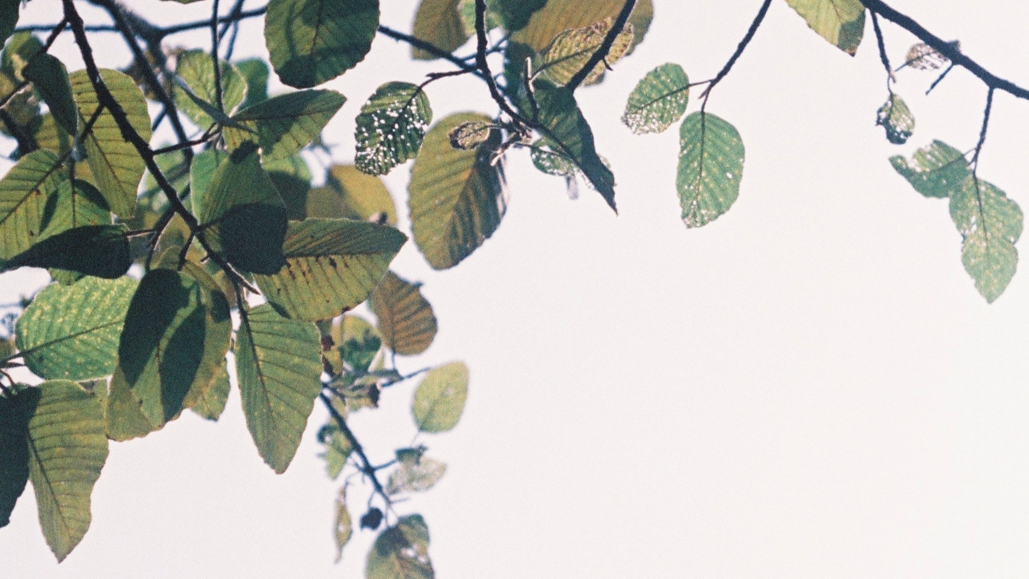 Relinquish Self Doubt