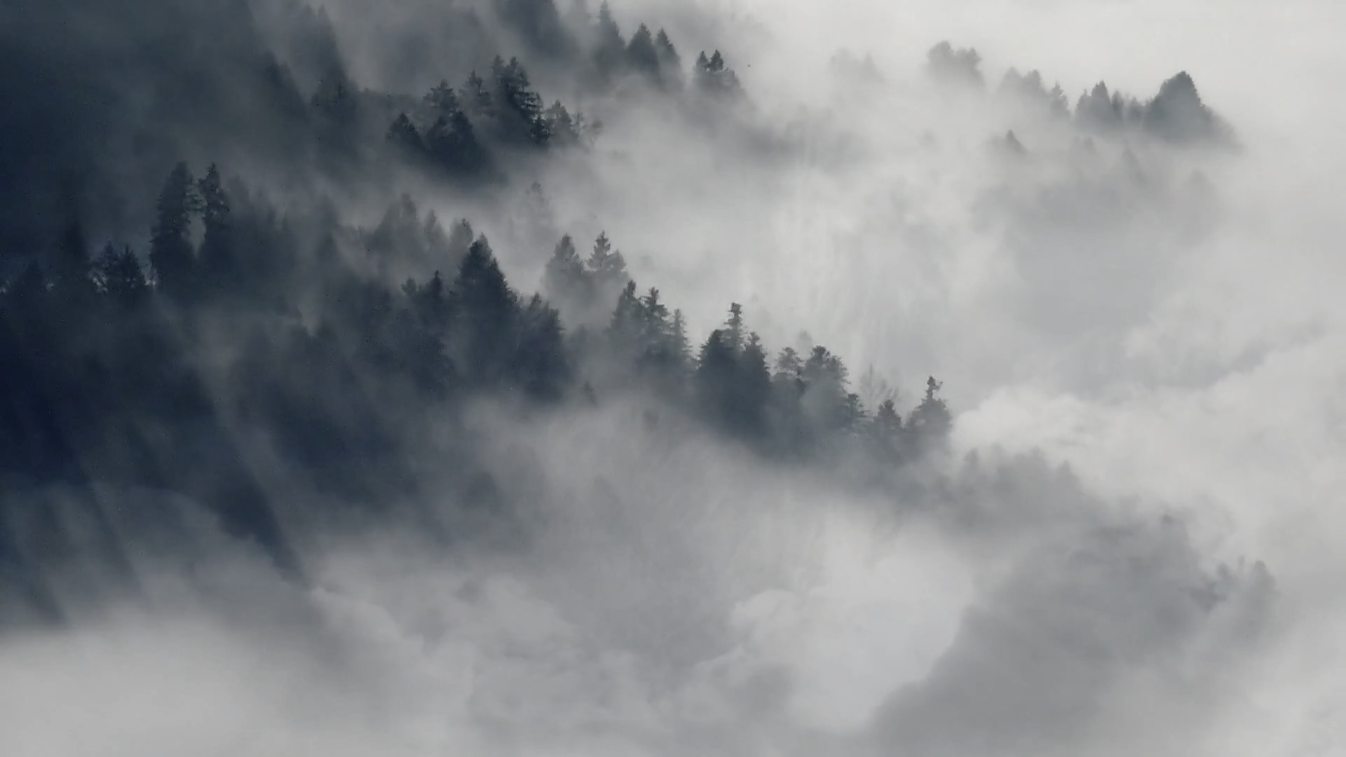 Meditation | Mindfulness of Breathing