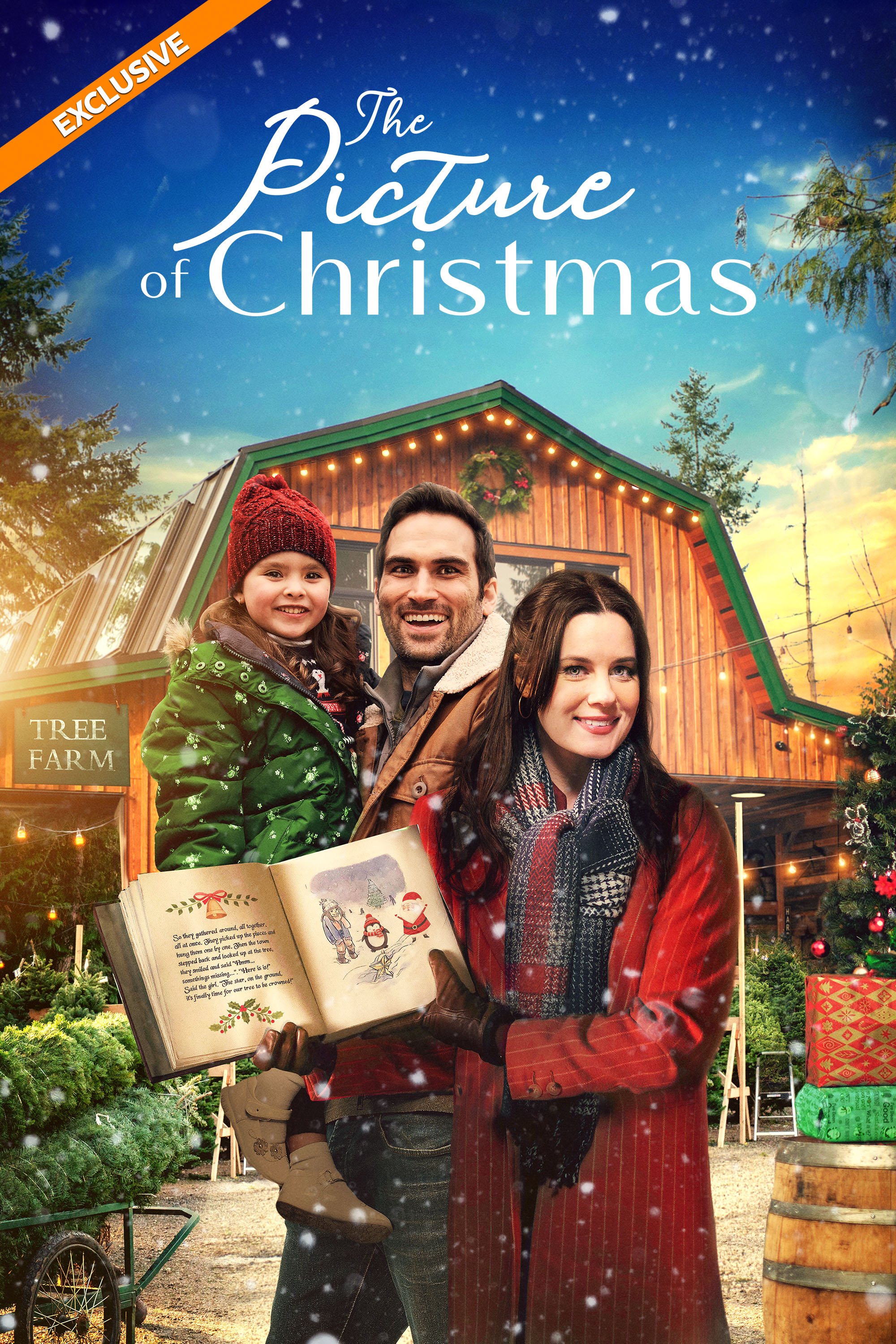 The Picture of Christmas