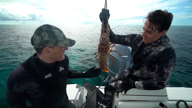 Catch and Cook