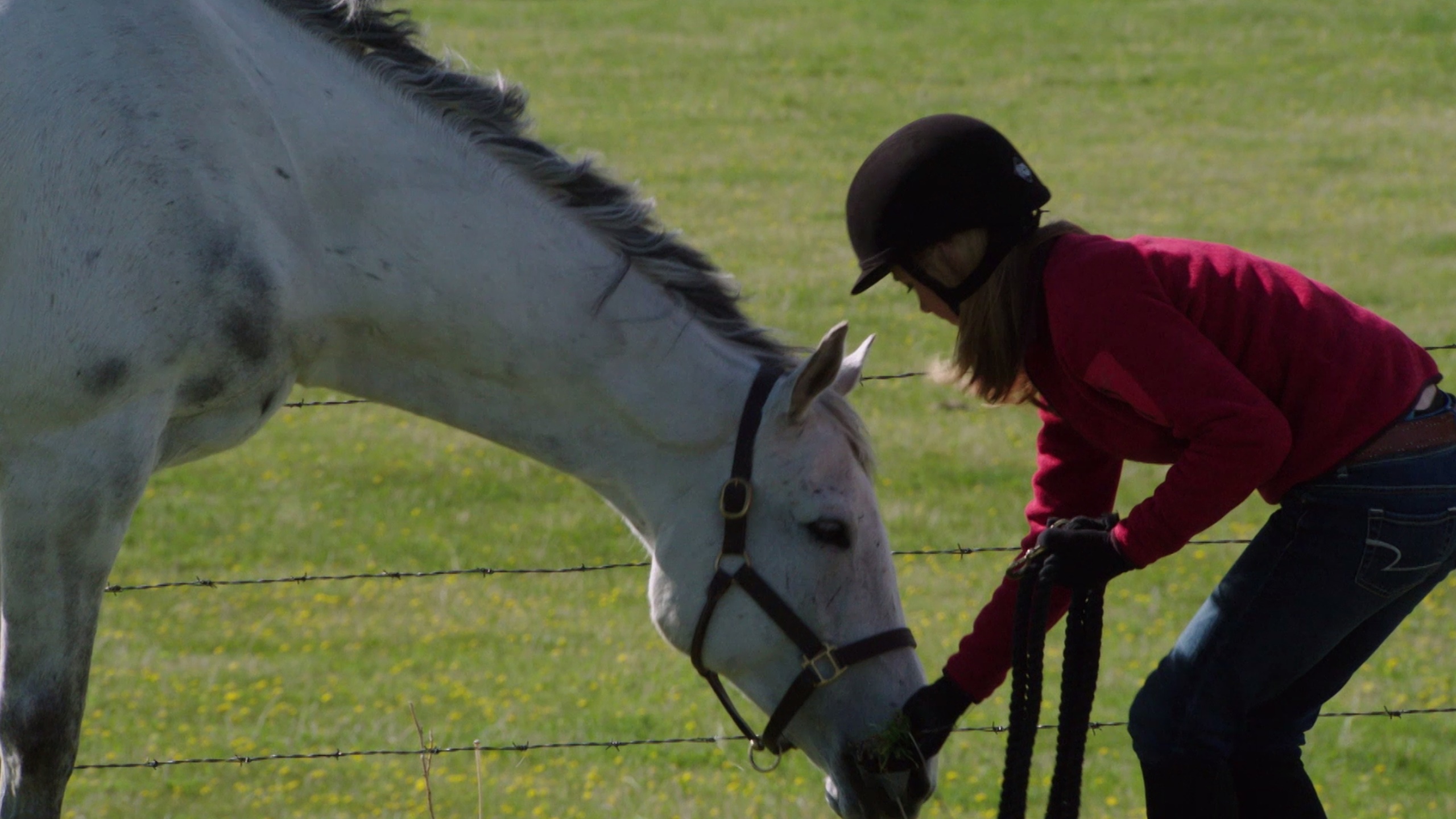 Running Against the Wind