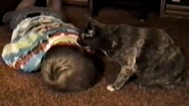 Life's Funniest Moments: 178