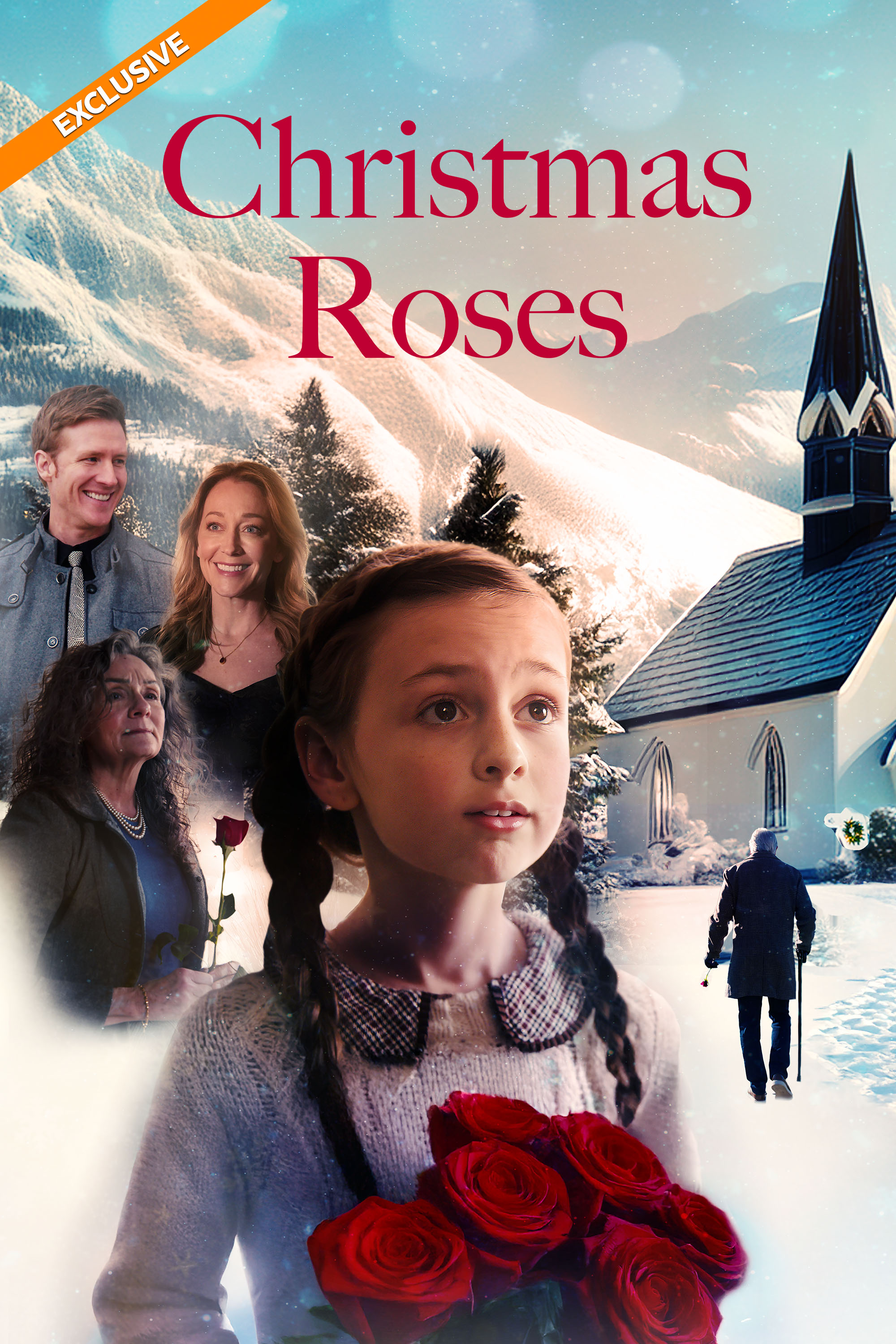 Christmas Roses