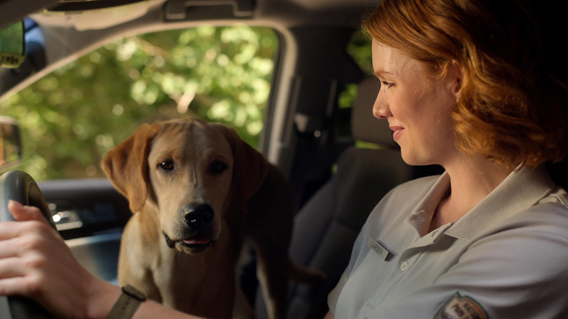 102 - Fugitive In The Wild