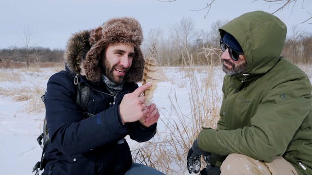 Winter Wilderness Adventure