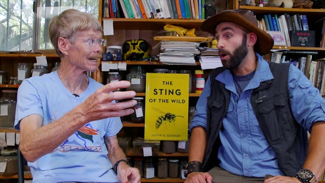 The Origin of Stings