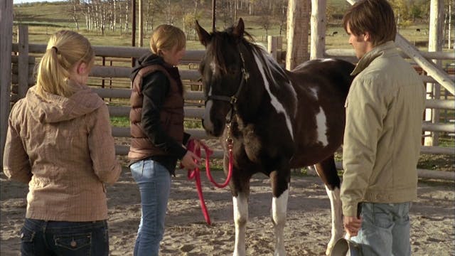 When Does The New Season Of Heartland Start On Up Faith And Family