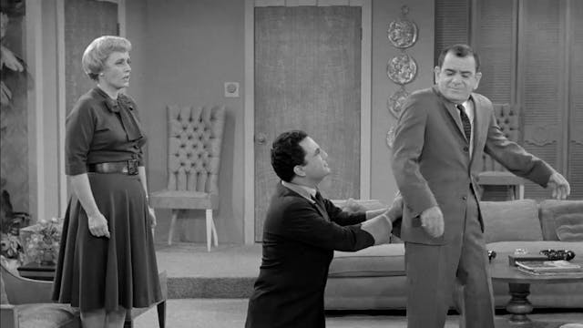 Jose, The Dog Sitter