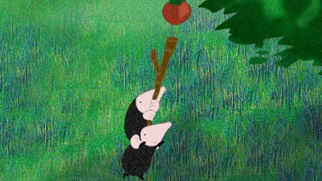 The Mole Sisters: 102