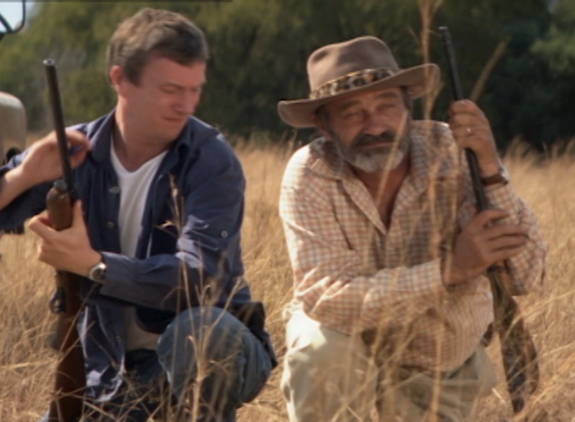 the wild at heart mesmerite the wild at heart mesmerite