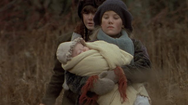 When the Bough Breaks