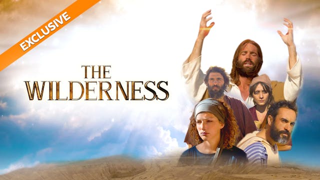 Coming Soon - The Wilderness (1/16)