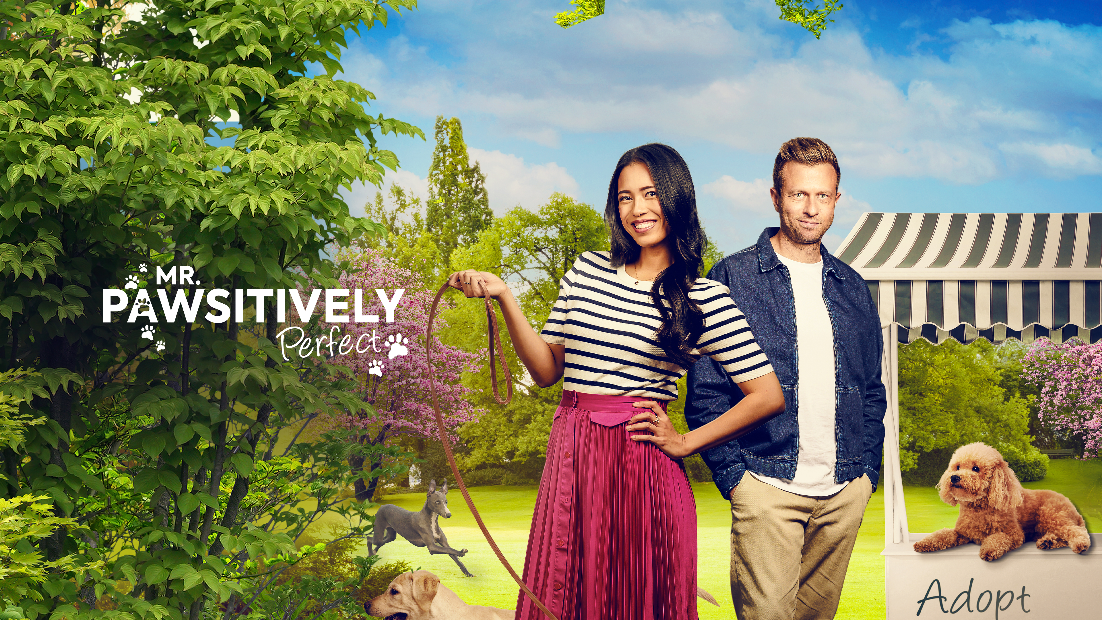 Mr. Pawsitively Perfect