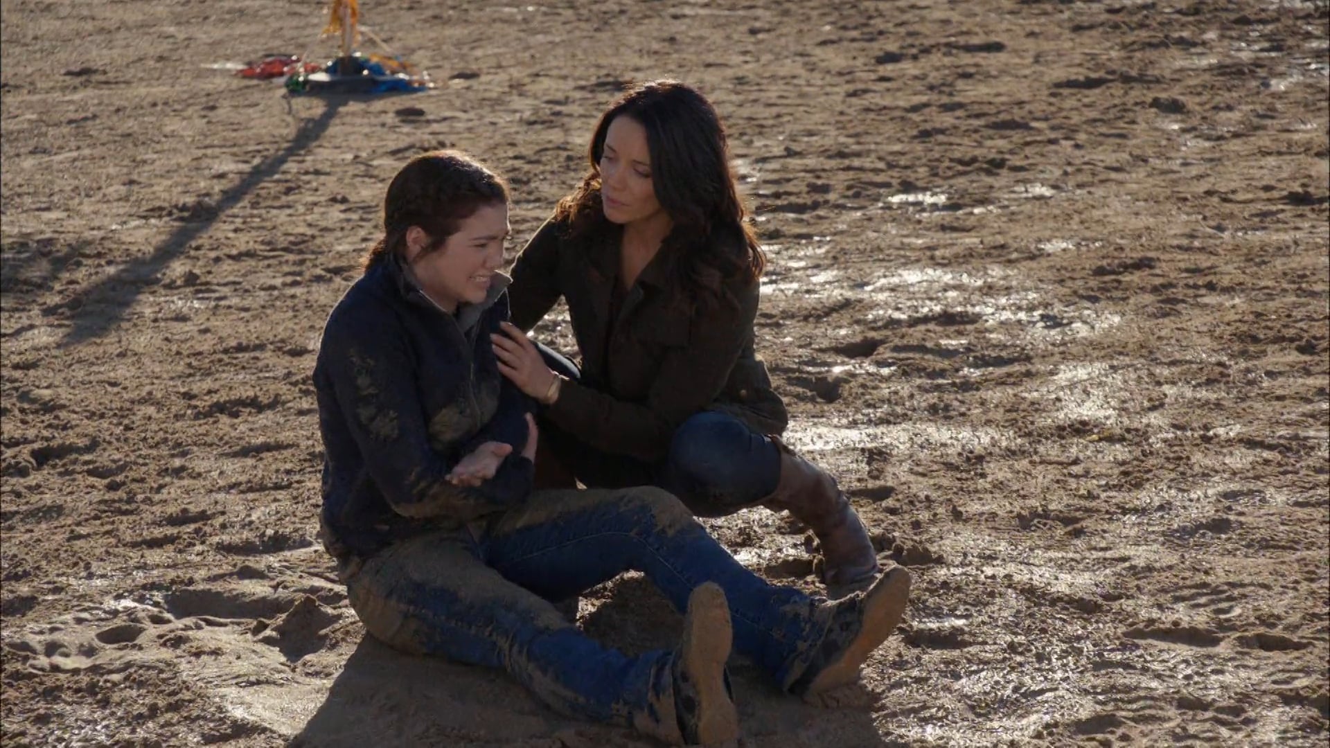 Forest for the Trees