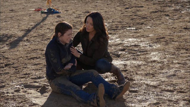 Forest for the Trees