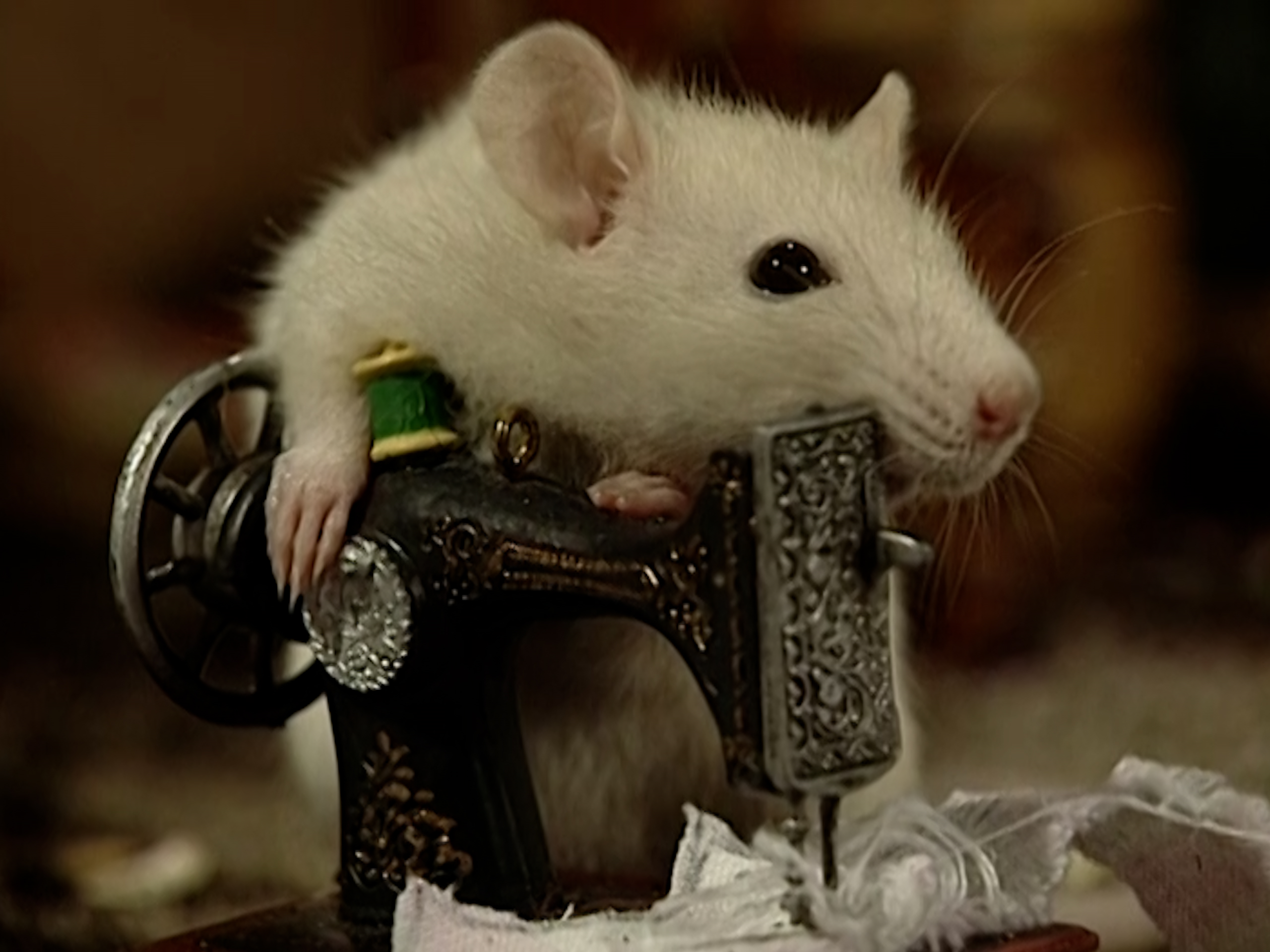 Tugboat Toadie - Part 2